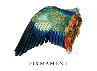 Firmament - Berlin Renaissance