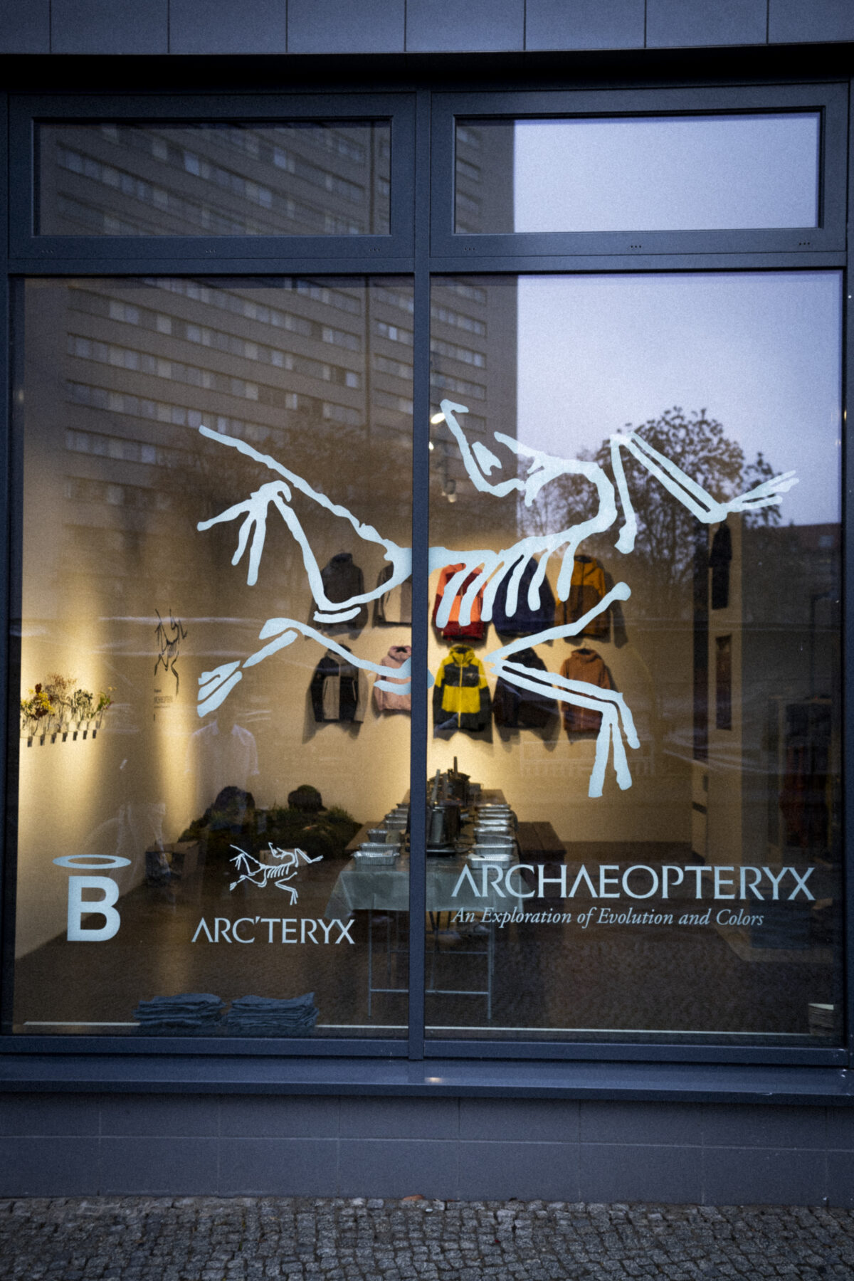 Arc&rsquo;teryx &mdash; An Exploration of Evolution and Colour